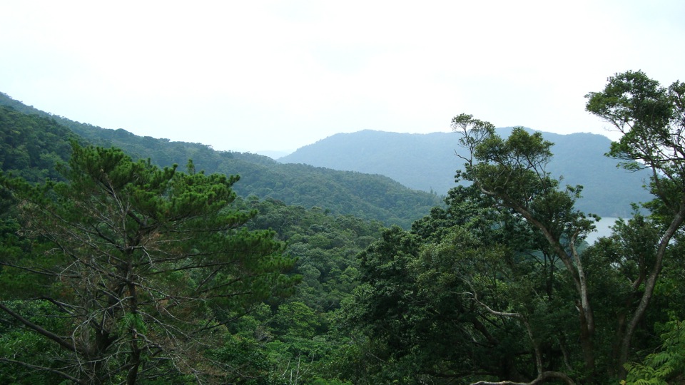 八重山旅行_005