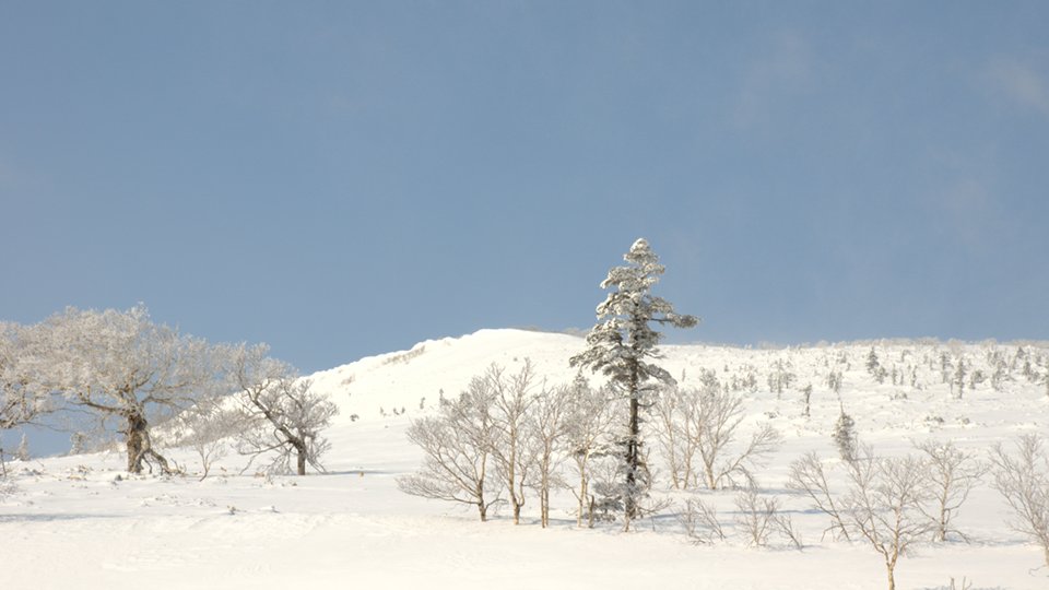 冬の北海道実習_014