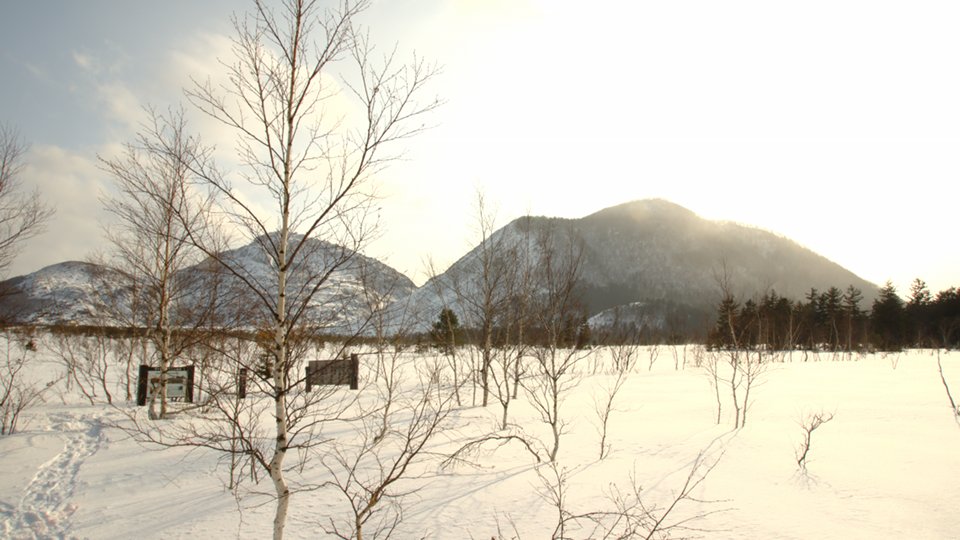 冬の北海道実習_018