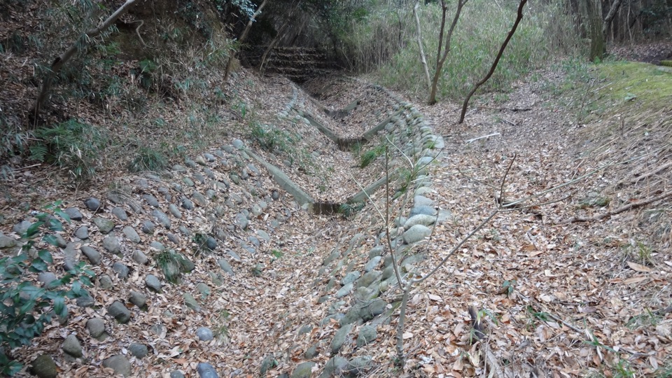 奥須磨公園冬の水辺_003