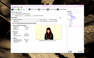HandBrakeで動画ファイルを開いたところ